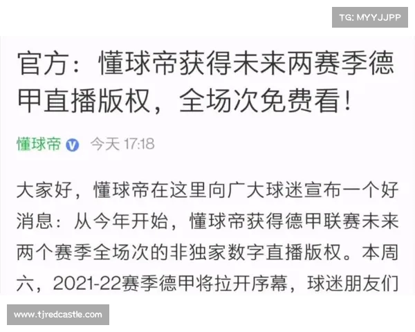 德甲联赛版权收入解析与未来发展趋势探讨 德甲联赛版权收入解析与未来发展趋势探讨