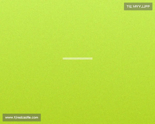 王钟瑶：不做花瓶的台球女裁判勇敢面对争议与挑战