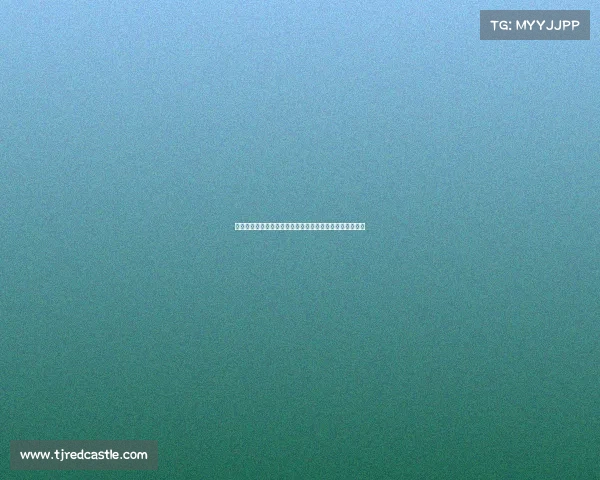 亚特兰大高层锁定穆尼斯为引援目标已前往英格兰进行谈判