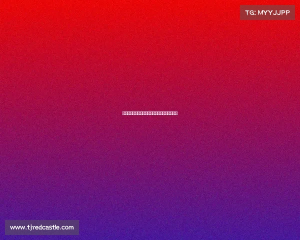 德甲历史扑救次数排行榜分析与各大门将表现对比