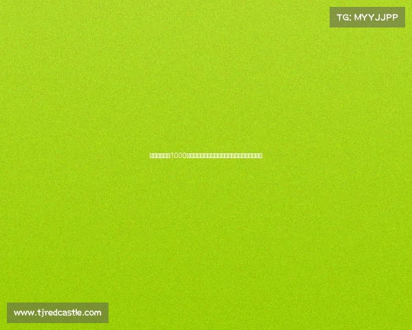 法比奥：中超1000球献给球队未来每位球员都要为团队中心做好准备