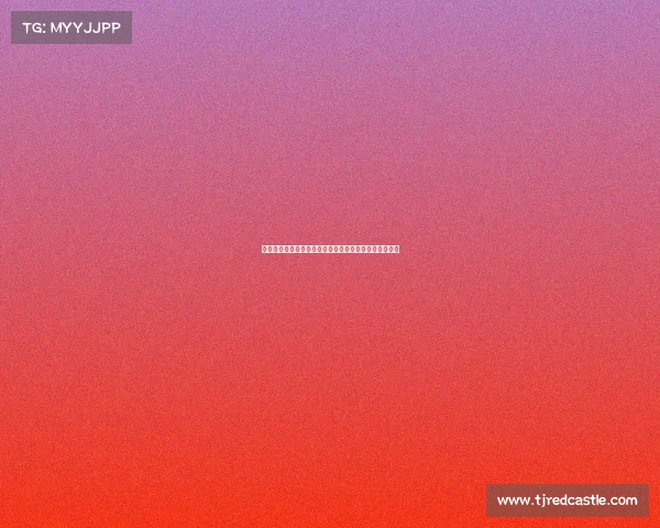 英超二队崛起之路:如何在顶级联赛中突破重围实现突破