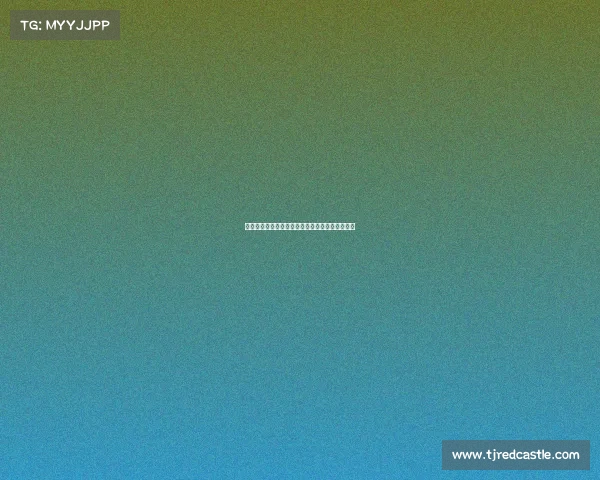 德甲历史扑救次数排行榜分析与各大门将表现对比 德甲历史扑救次数排行榜分析与各大门将表现对比