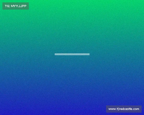 法甲转会政策解析:资金限制与外援名额新规如何影响球队竞争力 法甲转会政策解析:资金限制与外援名额新规如何影响球队竞争力