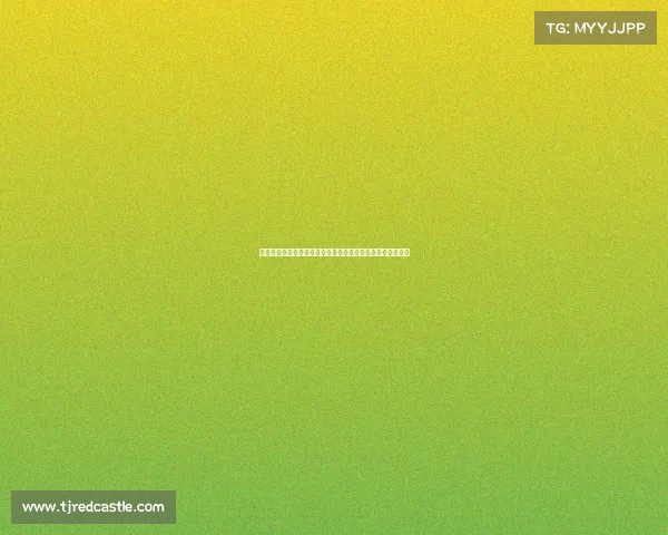 王鹏在比赛中不慎受伤严重影响球队战术部署和后续比赛安排