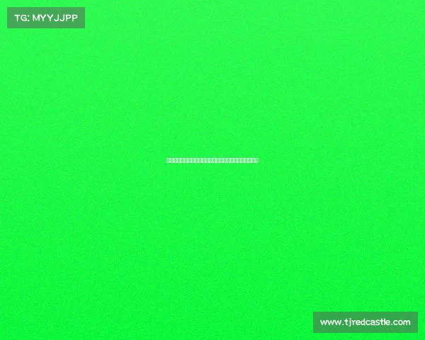 亚特兰大高层锁定穆尼斯为引援目标已前往英格兰进行谈判