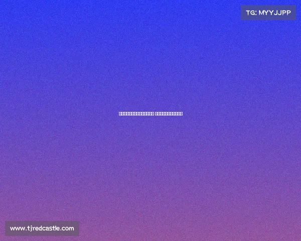 弗拉霍维奇门前嗅觉堪比世界级 米兰签约他可谓明智之举