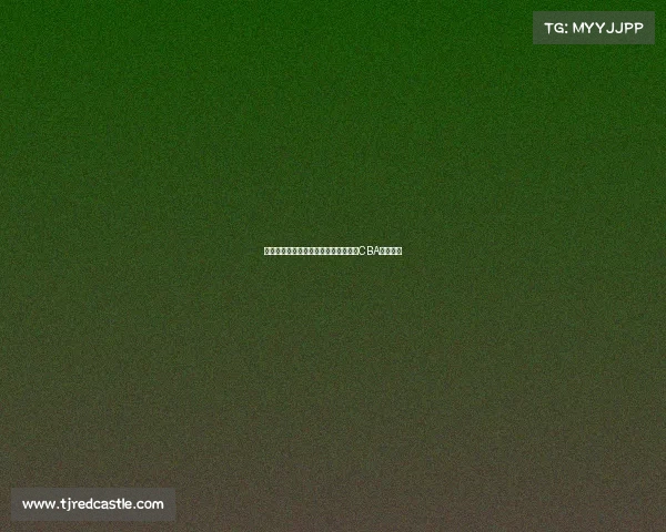 杨瀚森一句这里很文明引发美国媒体对CBA关注热潮