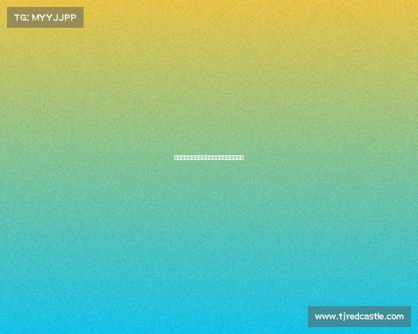 法甲球队中的非洲杯明星球员解析与表现分析