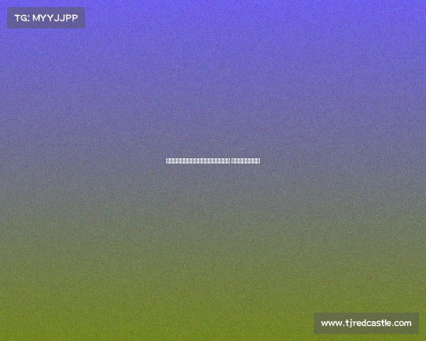 维亚纳称多纳鲁马已是世界最佳门将之一 曼城引援备受期待 维亚纳称多纳鲁马已是世界最佳门将之一 曼城引援备受期待