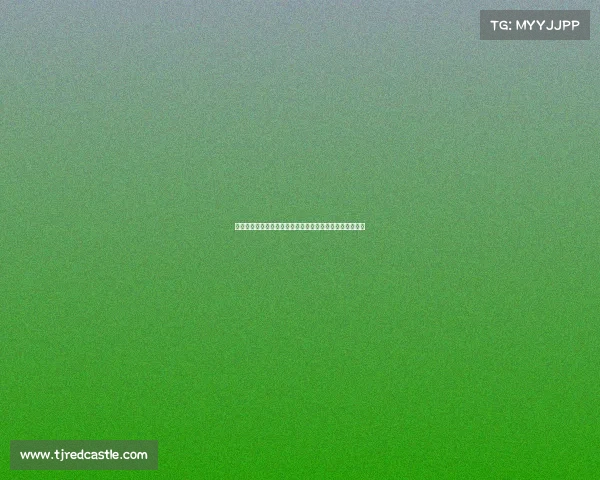 英超后防铁闸：那些守护球门的坚固堡垒与无可撼动的防线