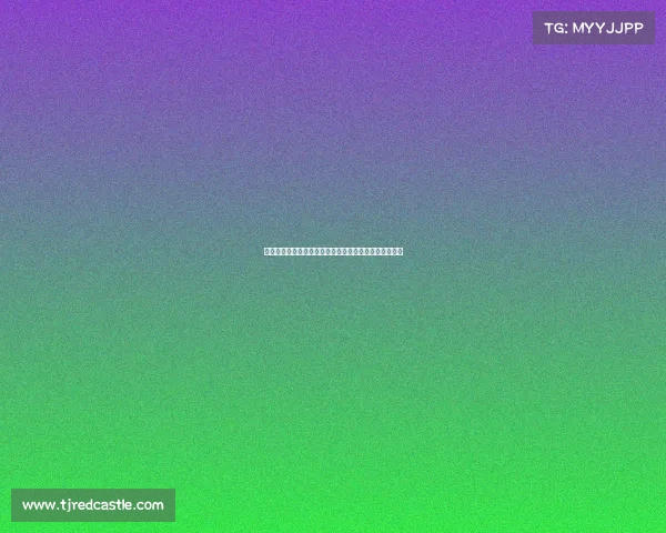 费尔明与特狮阿劳霍佩德里等人沟通后决定留队继续发展