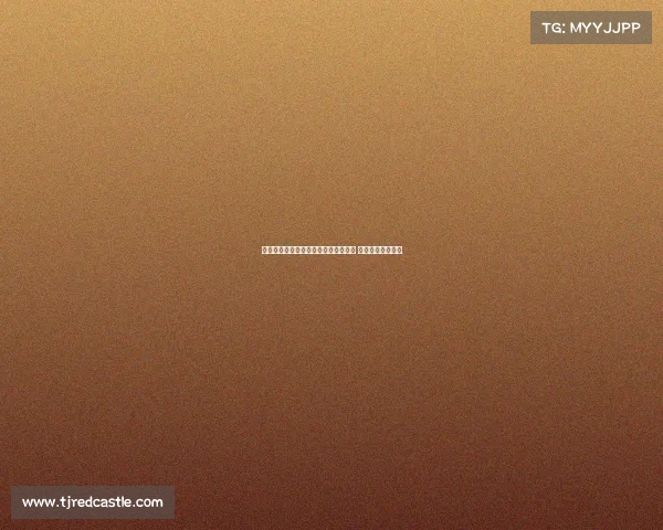 阿尔科塔提醒维尼修斯不要施压老佛爷 否则可能适得其反 阿尔科塔提醒维尼修斯不要施压老佛爷 否则可能适得其反