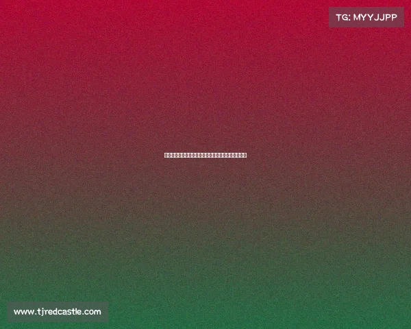 桑乔与尤文图斯绯闻不断身价走势回顾及未来潜力分析