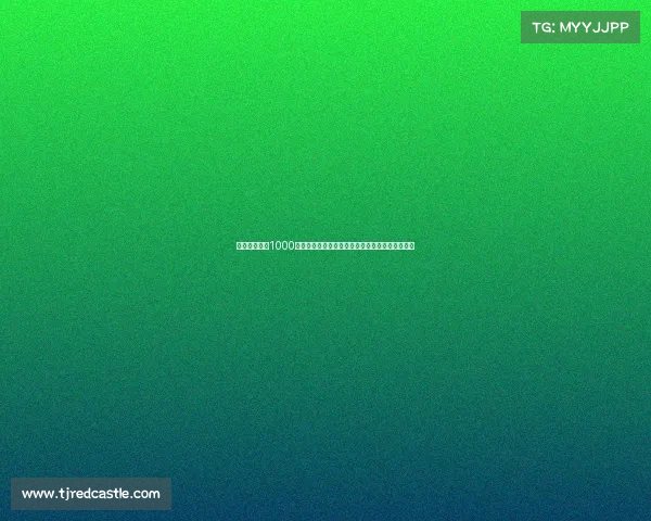 法比奥：中超1000球献给球队未来每位球员都要为团队中心做好准备