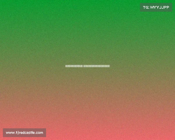 英超夏窗转会风暴持续高涨 如何在豪掷千金与可持续发展间找到平衡