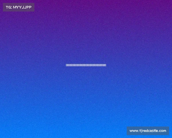 德甲联赛上座率解析：各俱乐部观众热情与球迷文化的深度探讨