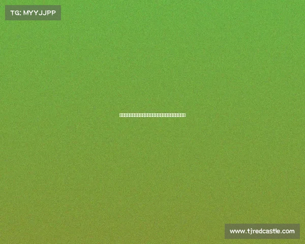 欧塞尔青训总监：分析中国球员缺乏创造力与过于守规现象