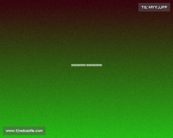 火箭队正式签约状元秀 为球队未来注入新鲜血液