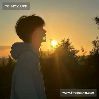 苗剑奇